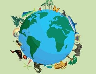 Ekosystemy na Krawędzi: Ochrona Bioróżnorodności
